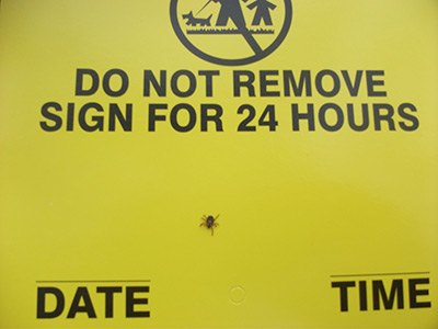 Tick Services